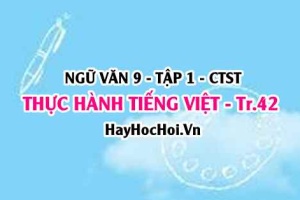 Soạn bài Thực hành Tiếng Việt trang 42 Ngữ Văn lớp 9 tập 1 Chân trời sáng tạo